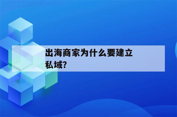 出海商家为什么要建立私域？